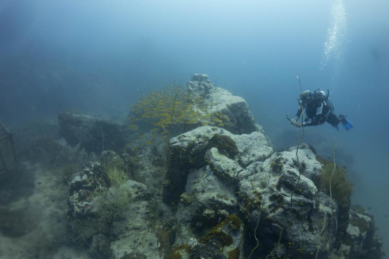 Divers House 涛岛 外观 照片